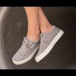 NEW Taos Plim Soul Grey Canvas Sneakers | Size 8